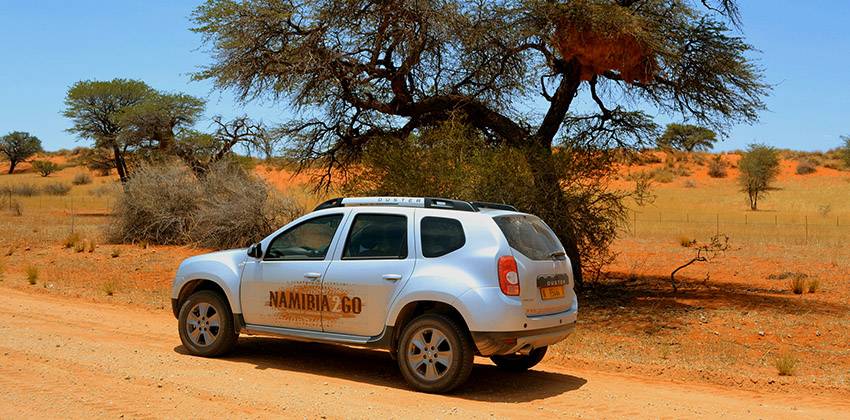 Renault Duster 4x4 in der Kalahari